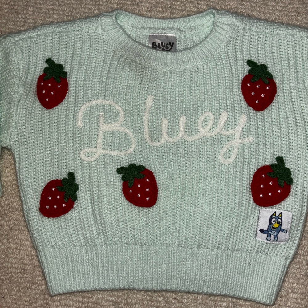 Bluey Kids Sweater - Mint Green with Red Strawberry Accents